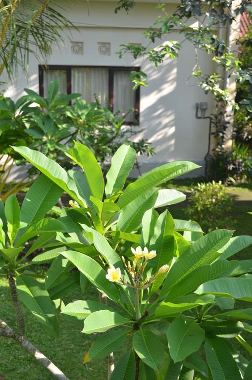 Wijaya Guest House Ubud Exterior foto